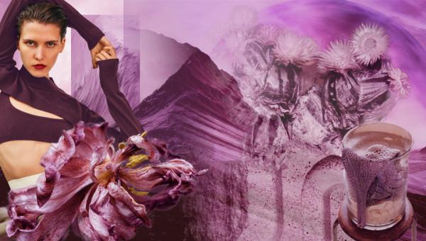 時尚看點 | 2021秋冬色彩趨勢——魅惑果酒