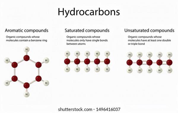 為什麼我們叫碳基生命？因為一切生命物質都是基於碳元素搭建
