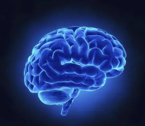 地球上本來沒有人,人類從何而來?第一個誕生的人是男人還是女人 地球上本來沒有人,人類從何而來?第一個誕生的人是男人還是女人