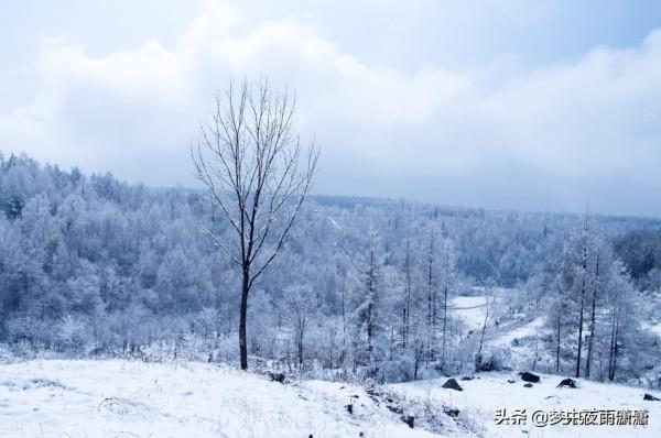 雙面之王，雙子座