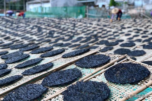 買鹽,到底買“加碘鹽”還是“無碘鹽”?區別很大,建議弄懂再買 買鹽,到底買“加碘鹽”還是“無碘鹽”?區別很大,建議弄懂再買