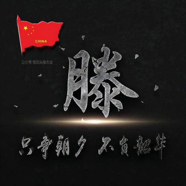 200張正能量姓氏頭像，張張精品，只爭朝夕 不負韶華