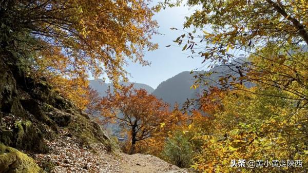 坐5元班車進秦嶺深處，抵達西安最有詩意的小鎮，山水紅葉任人賞