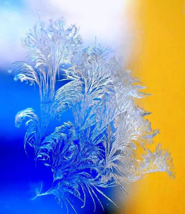 盛開在冬日窗欞上的冰窗花