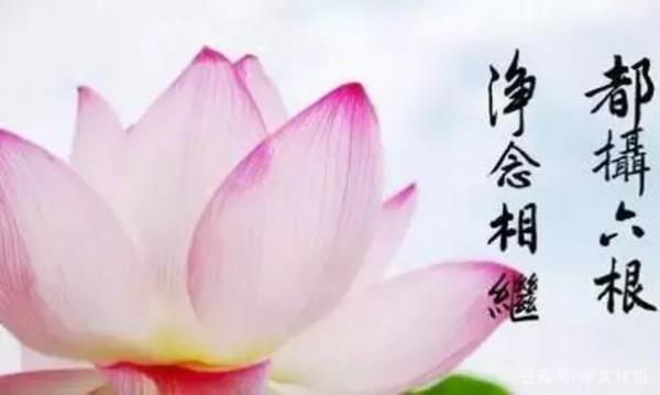 心念一轉 地獄也是天堂，這是傳統武術帶給我的，有沒有同感的朋友