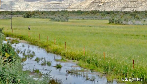 新疆遊記 | 塔什庫爾幹:有一個朋友叫“老卡” 新疆遊記 | 塔什庫爾幹:有一個朋友叫“老卡”