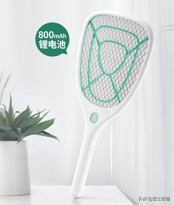 滅蚊拍管用嗎？滅蚊拍推薦：滅蚊拍品牌哪個好？