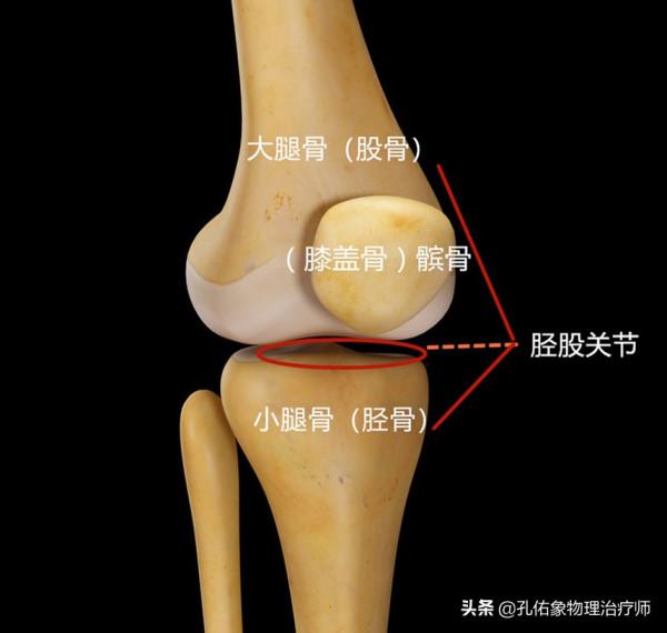 膝關節疼痛的元兇是什麼?骨性關節炎嗎?要如何應對?請看此文 膝關節疼痛的元兇是什麼?骨性關節炎嗎?要如何應對?請看此文