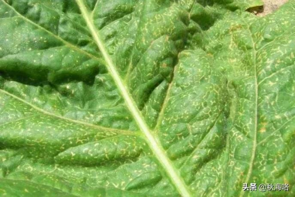 我們一起來了解，DNA的發現