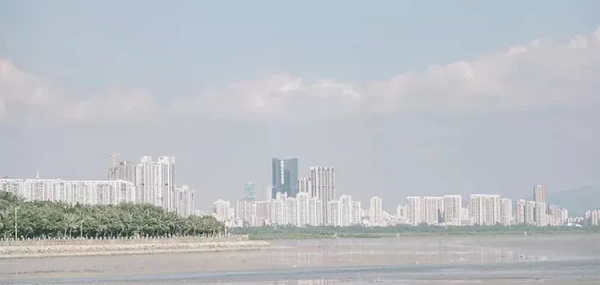在深圳,必打卡的6個海濱棧道 在深圳,必打卡的6個海濱棧道