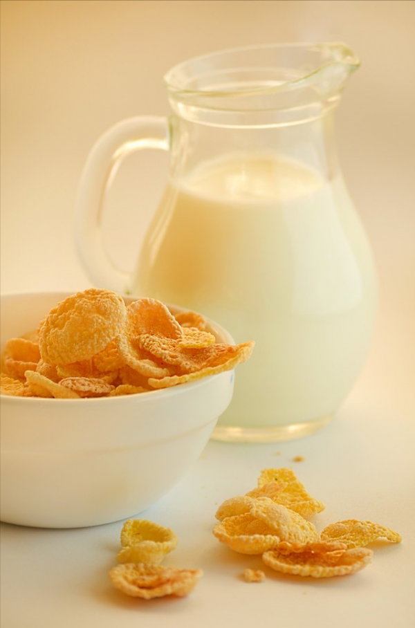 如何科學減肥? 如何科學減肥?