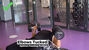 7個極易踩雷的“啞鈴臥推”錯誤,讓你越推越廢 7個極易踩雷的“啞鈴臥推”錯誤,讓你越推越廢