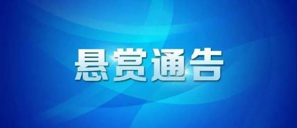 澳洲野兔氾濫成災，政府六次圍剿控制，不能吃嗎？現實決定沒法吃