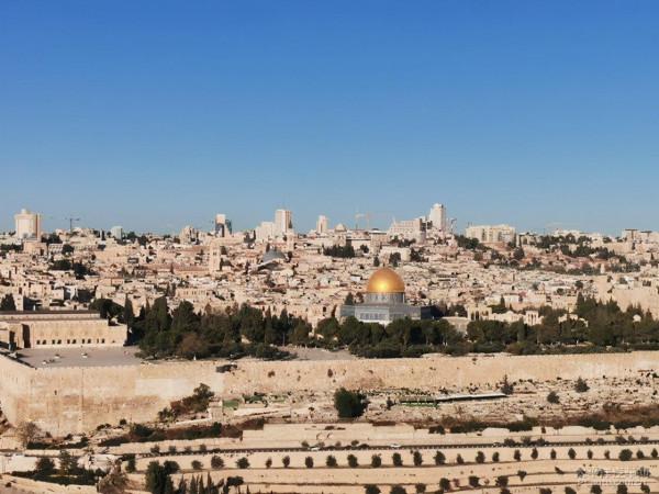 國中之國巴勒斯坦依靠什麼維持生存