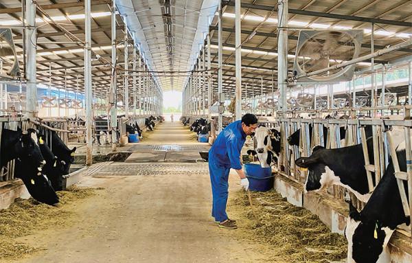 最悲催者牛根生,從小被賣50元,被伊利趕走建立蒙牛帝國 最悲催者牛根生,從小被賣50元,被伊利趕走建立蒙牛帝國