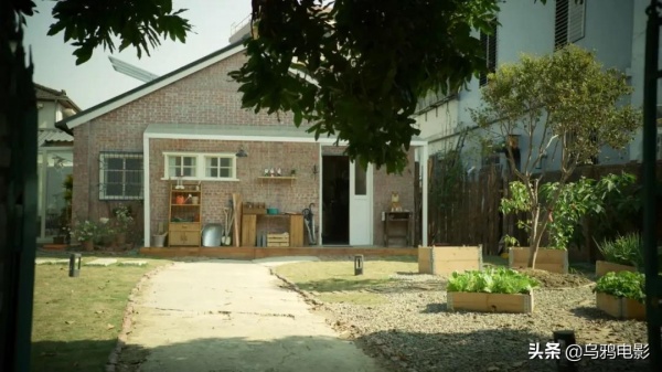 開播24小時拿下豆瓣9.6分，這女人什麼來頭