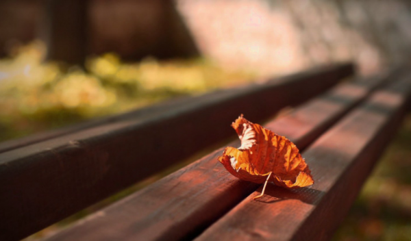 靈語塔羅:獅子座11月下半月運勢,主動權被拿走,開始陷入被動 靈語塔羅:獅子座11月下半月運勢,主動權被拿走,開始陷入被動