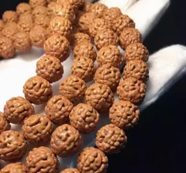 金剛菩提，老手和新手的區別到底在哪？