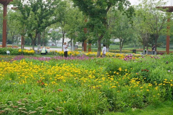 京城這個爆火的4A級景區，你打卡了嗎？快收下這份經典路線攻略，跟著走就行！