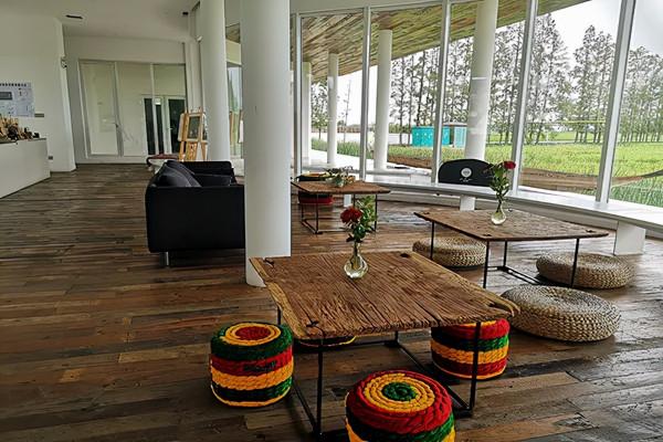 長三角這9條美麗鄉村休閒旅遊行（秋季）路線，你走過幾條？