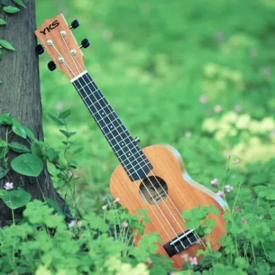 【上地預告】上地e家活動安排(11月1日-11月7日) 【上地預告】上地e家活動安排(11月1日-11月7日)