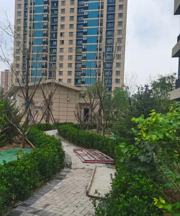 堪稱最優建築質量的安置房建設進度播報來了——中筑西府海棠