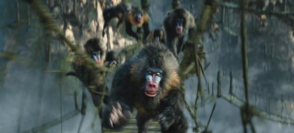 為何說“寧遇豺狼,不碰山魈”,這種動物有多可怕?我國有嗎? 為何說“寧遇豺狼,不碰山魈”,這種動物有多可怕?我國有嗎?