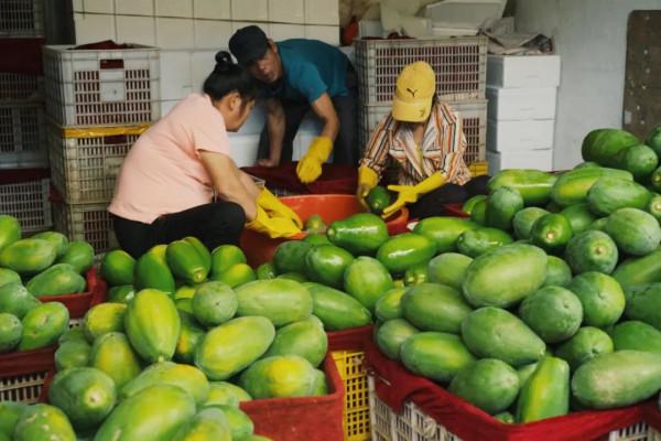在這裡我毫不焦慮，還實現了水果自由