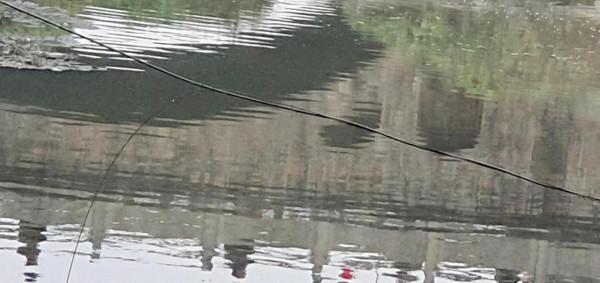 我家附近的風景也很美 我家附近的風景也很美