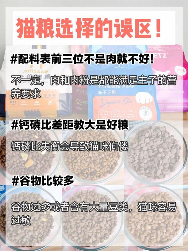 貓糧還能選錯！看這篇就懂了