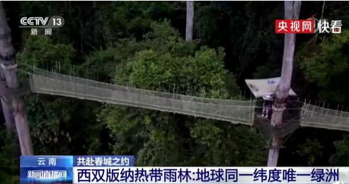 低至1.2折!成都直飛,一大波航線200元+ 低至1.2折!成都直飛,一大波航線200元+