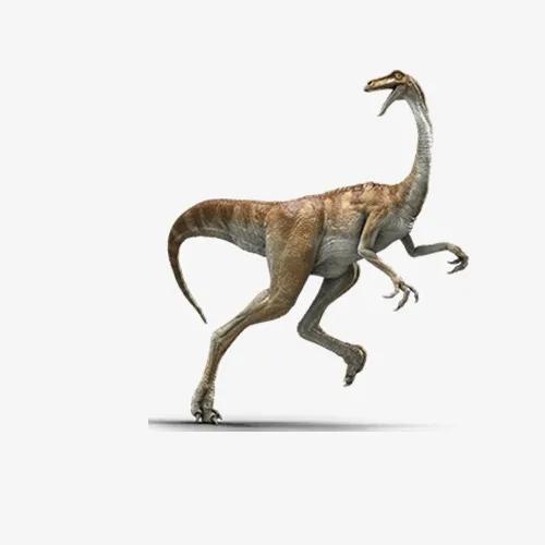 快達龍：一種小型食草恐龍（長1.8米/澳大利亞出土）