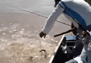 30張照片看世界:美國劫匪被奪槍,日本怪異廣告,義大利空姐遊行 30張照片看世界:美國劫匪被奪槍,日本怪異廣告,義大利空姐遊行