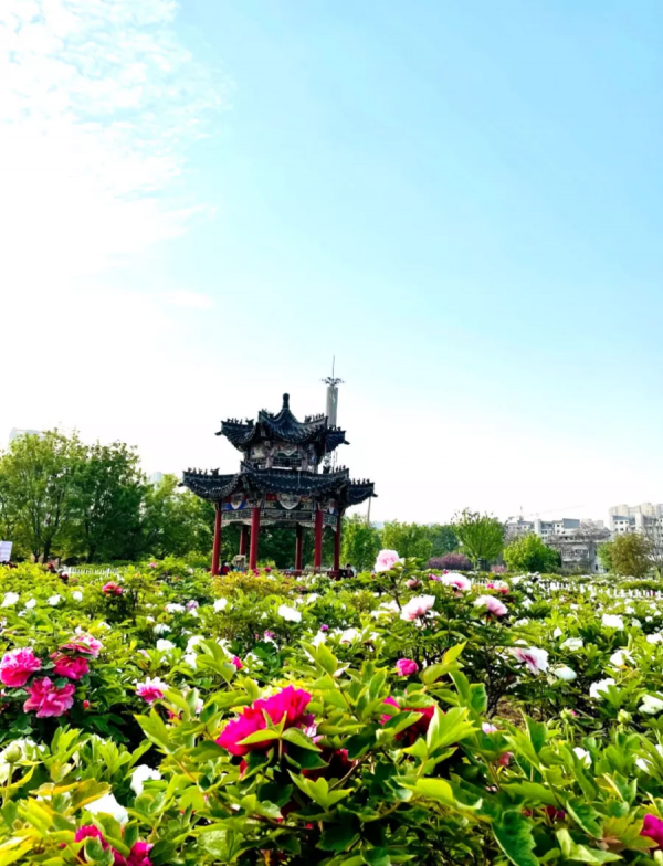 您有一封來自山東的邀請函，請查收！