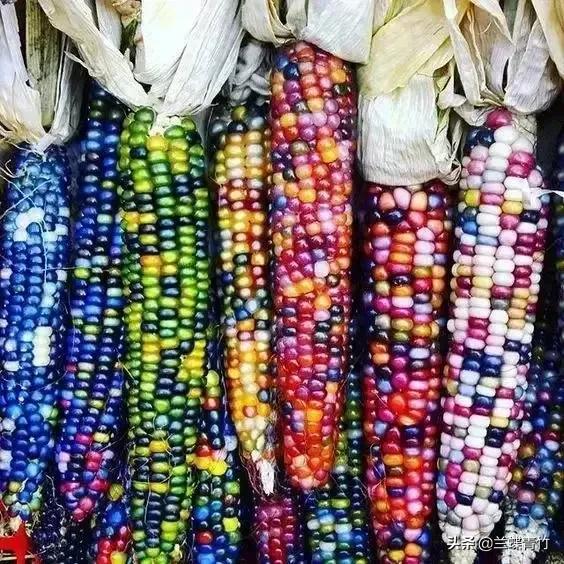 &OpenCurlyDoubleQuote;我想找個老伴，難道錯了嗎？&rdquo;66歲大媽心酸質問，戳痛子女的心