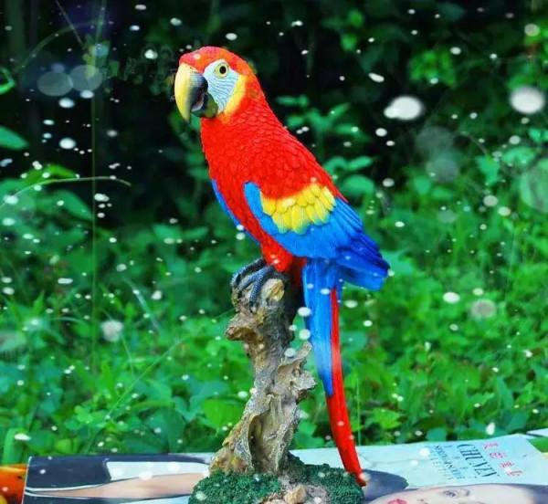 大自然中漂亮的“鳥兒”,日常生活中你見過幾種 大自然中漂亮的“鳥兒”,日常生活中你見過幾種