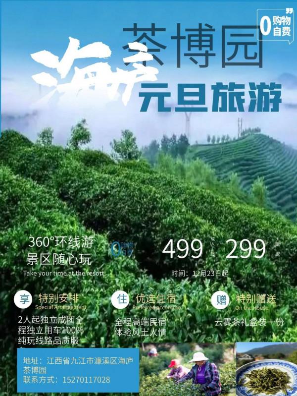 旅行是對平淡生活的一次越獄——《海廬茶博園》