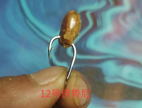 這幾天野釣鯉魚老是脫鉤