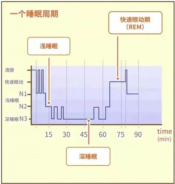 最新研究:解決難題的好辦法,竟然是睡覺 最新研究:解決難題的好辦法,竟然是睡覺