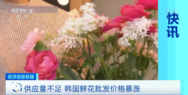 鮮花價格翻5倍！這裡，一束花264元！&OpenCurlyDoubleQuote;花&rdquo;不起了？