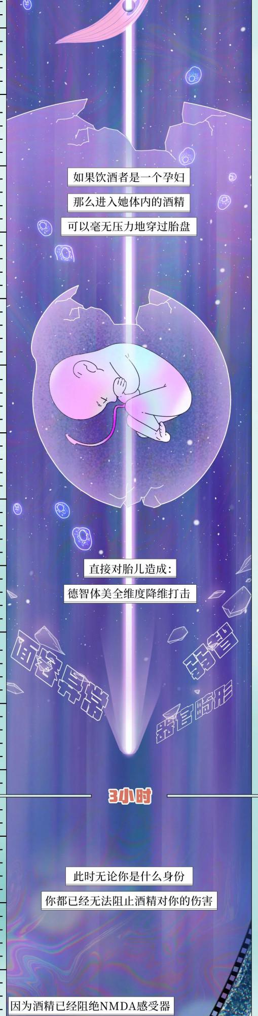 喝酒後24小時人體變化圖鑑