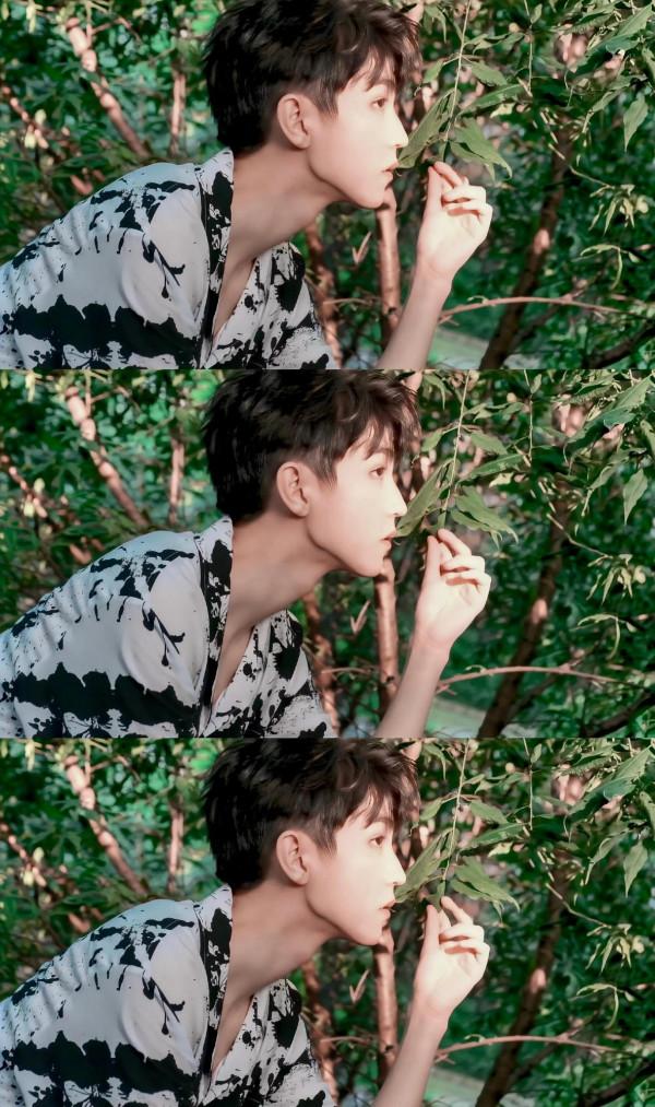 王俊凱 盛夏光年