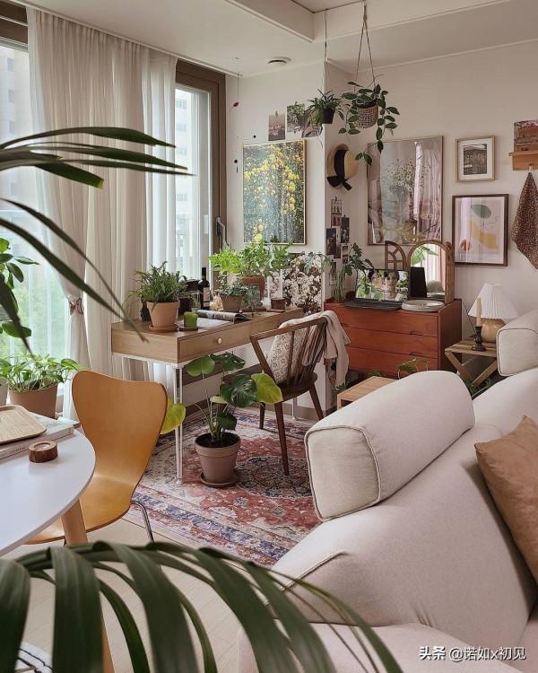 家裡藏著小森林綠植控的家，清新太治癒了