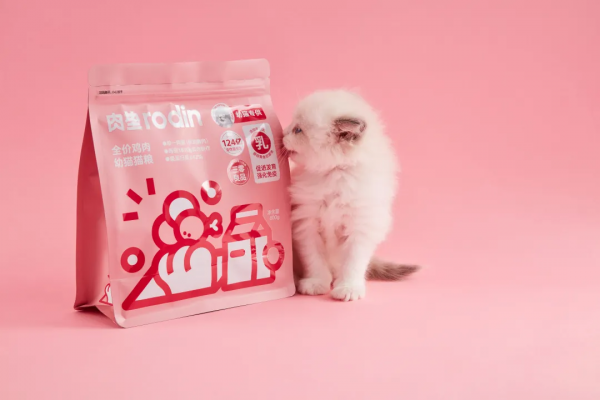 這 5 家寵物初創品牌中，有一家來自賓士造車跨界團隊 | 新勢力專欄