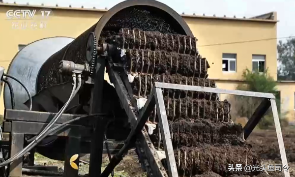 因為喜歡釣魚，從而發現商機，靠養殖蚯蚓年銷售額4000多萬