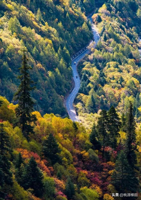這幾個愈秋愈美的小眾旅行地，錯過只能再等一年