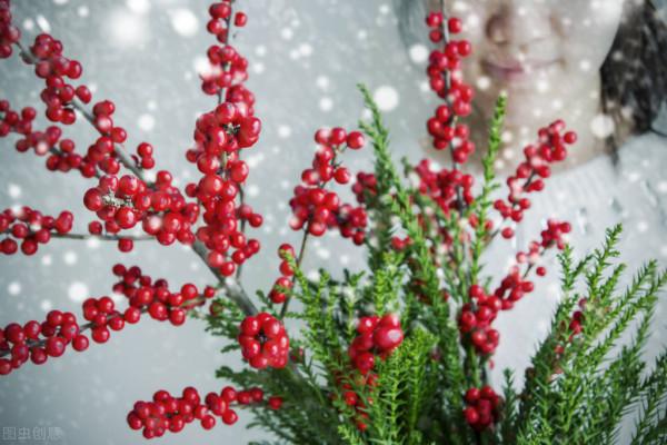 再不種就“過期”的10種花，留給我們的栽種時間不多了，別錯過