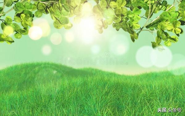 抑鬱家庭恢復的日常(二十九) 抑鬱家庭恢復的日常(二十九)