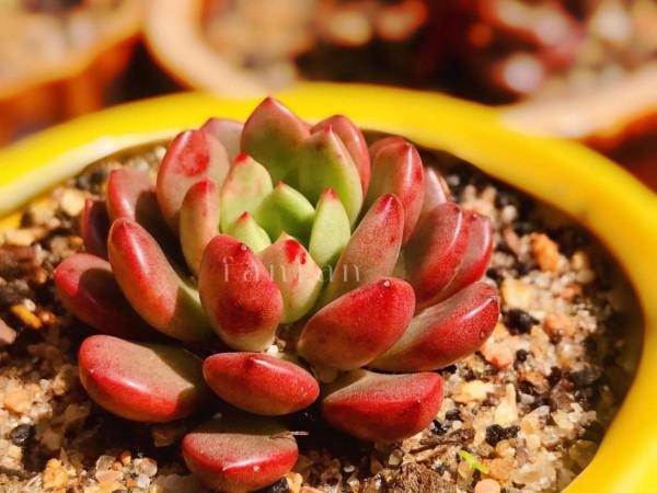 假如有機會帶個古代名人去旅行,你願意找誰? 假如有機會帶個古代名人去旅行,你願意找誰?