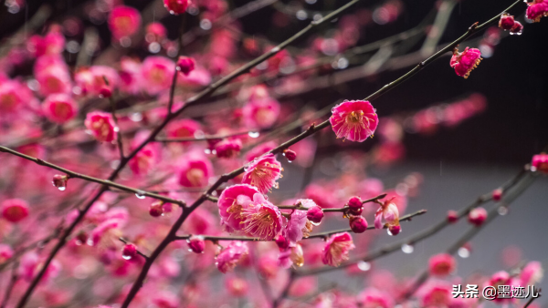 有生以來,父親打她最狠的一次 有生以來,父親打她最狠的一次